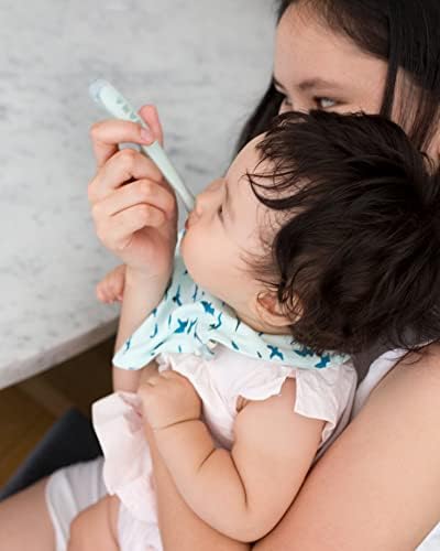 BEABA Babys First Foods Spoon Set with Travel Case