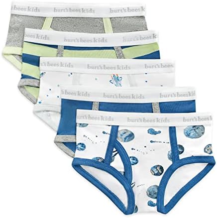 Burts Bees Toddler Boys Organic Cotton Briefs