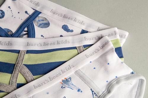 Burts Bees Toddler Boys Organic Cotton Briefs