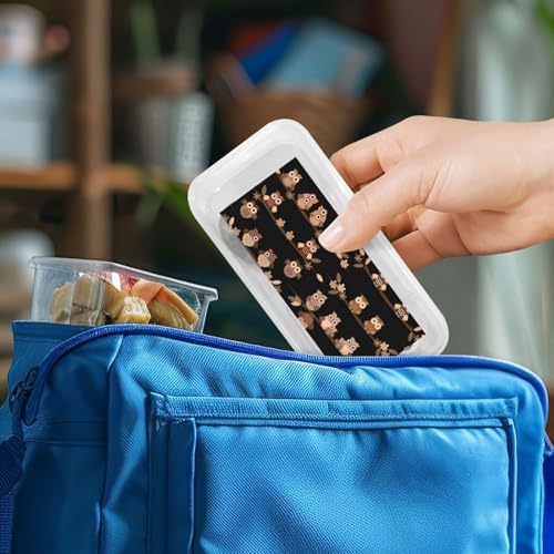 Cute Brown Cartoon Owls Utensils Set for Daily Use Travel