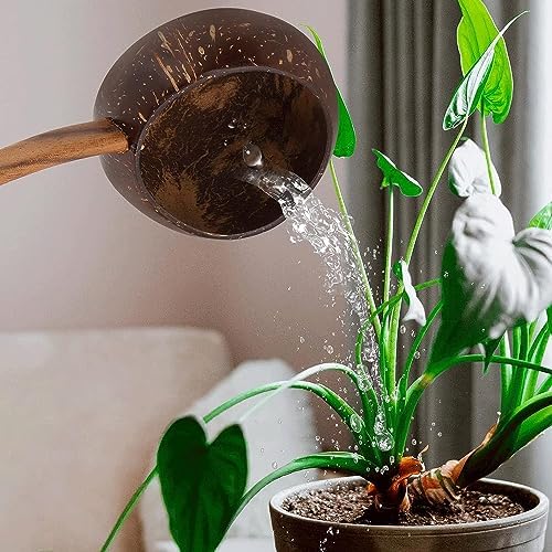 NPQPNAFC Wooden Sauna Ladle Bathing Scoop