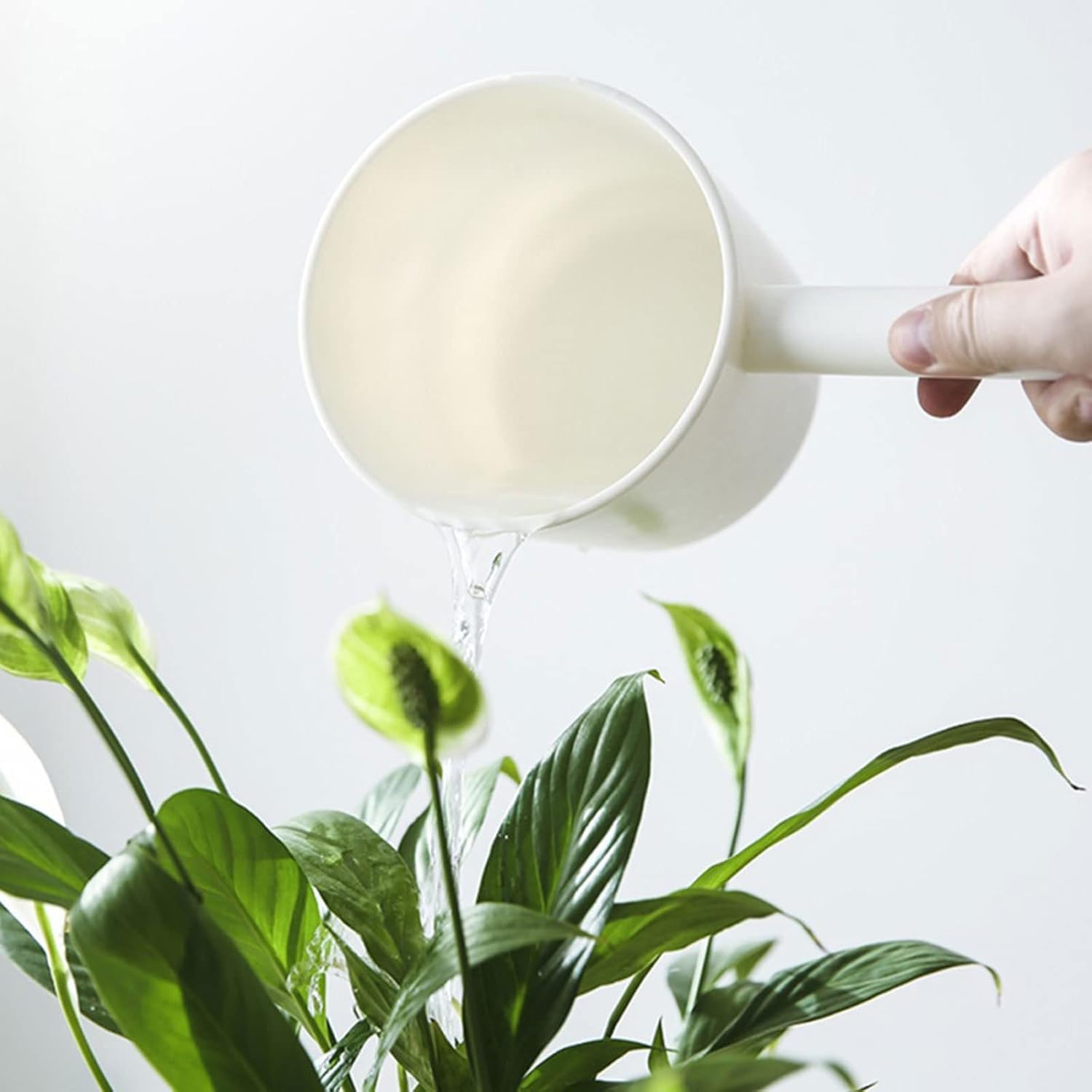 All-In-One Water Scoop Set