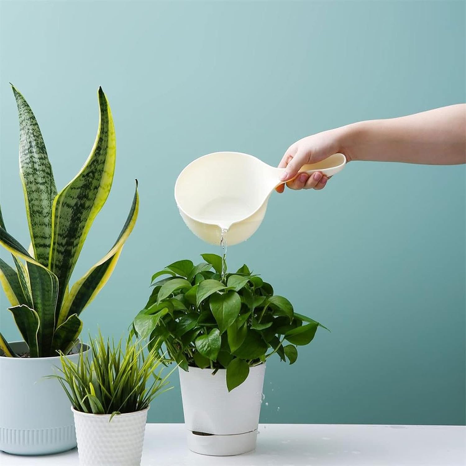 Gentle Bacteria Removes Effervescent Odor Neutralizes Hypoallergenic Kitchen Baler