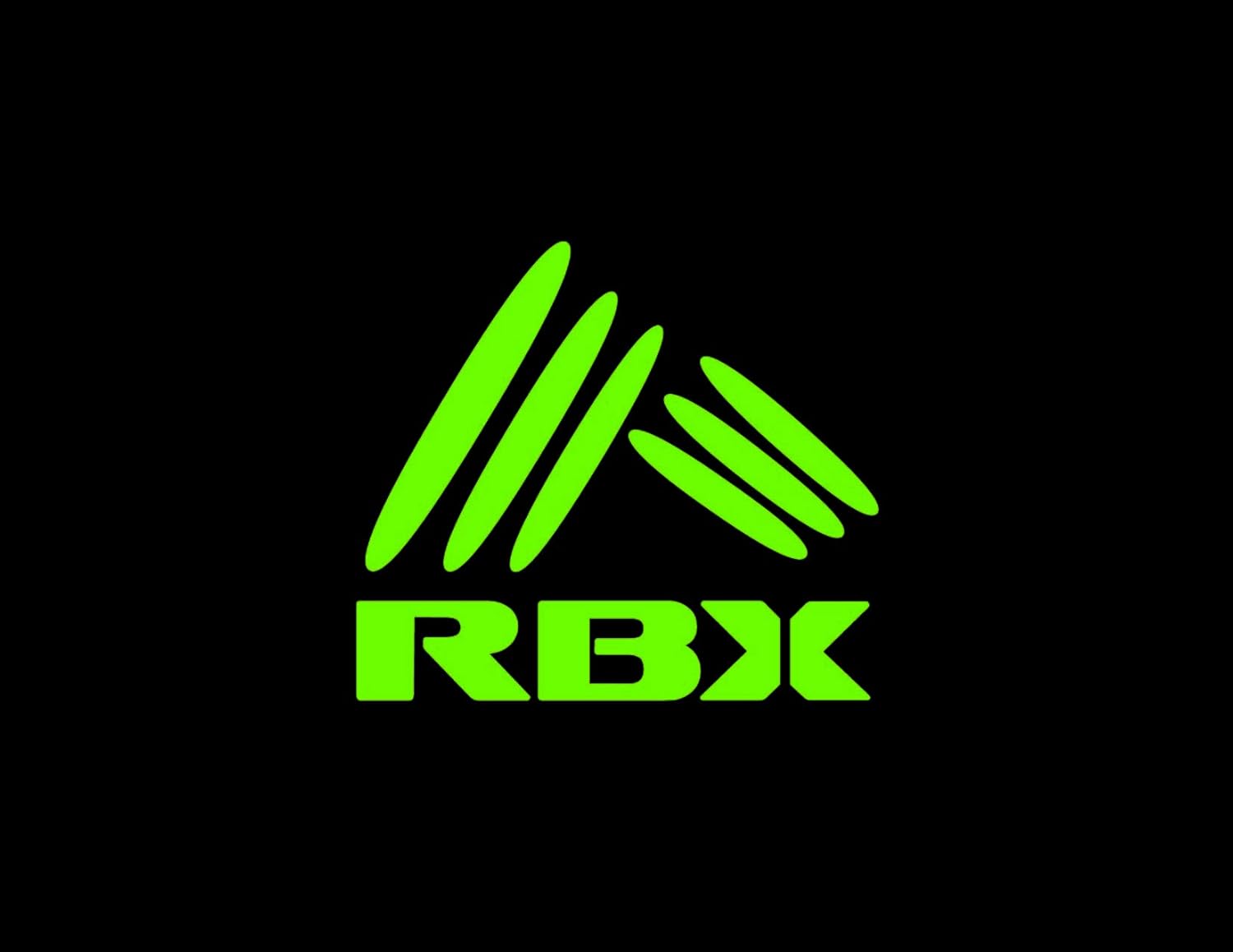 RBX Boys 2 Piece Fleece Hoodie and Jogger Pants Set